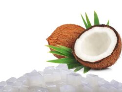 Apakah Nata De Coco Berbahaya ? Ternyata Inilah Bahan Pembuatannya