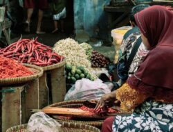 Sebutkan Lembaga-lembaga Dalam Proses Distribusi ! Pedagang Menjadi Lembaga Utama