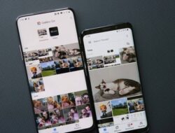 2 Cara Melihat Foto yang Diatur Sebagai Pribadi di Semua Hp Oppo dan Realme