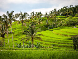 Faktor Geografis yang Mempengaruhi Keragaman Budaya Adalah ? Lokasi Menjadi Faktor Utama