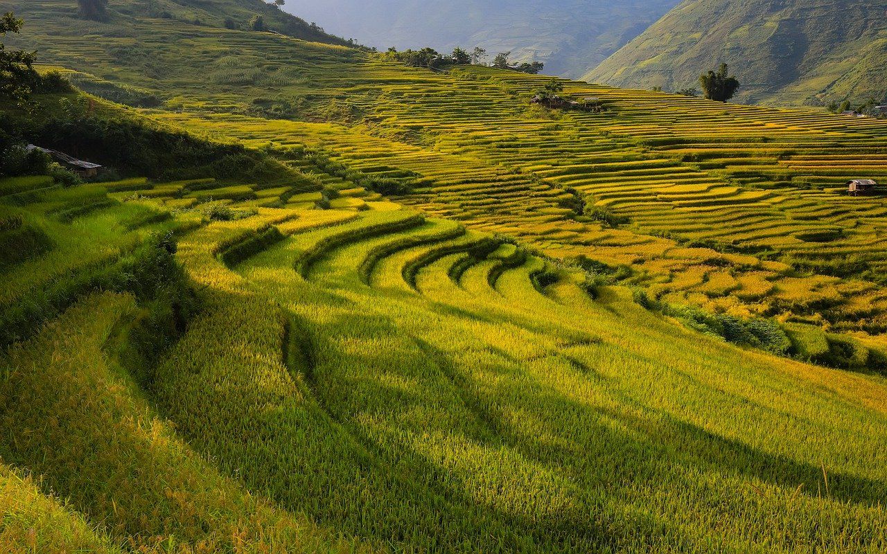 Jelaskan yang Dimaksud Indonesia sebagai Negara Agraris ! Cek Jawaban Berikut