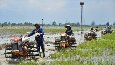 Bagaimana Perubahan Sosial Budaya jika Suatu Masyarakat Menutup Diri dari Dunia Luar