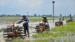 Jelaskan Hubungan Antara Perubahan Sosial dan Perubahan Budaya ! Pengertian, Faktor & Contoh