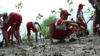 Jelaskan Tugas Manusia Terhadap Lingkungan