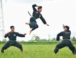 Cara Agar dapat Melakukan Pukulan Depan dengan Baik, Ketahui Triknya dalam Olahraga dan Pencak Silat