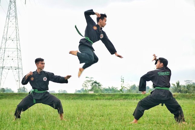 Cara Agar dapat Melakukan Pukulan Depan dengan Baik