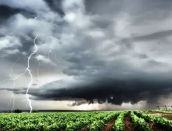 Bagaimana Pengaruh Iklim Terhadap Keragaman Sosial Budaya di Indonesia ? Simak 3 Jawaban Berikut